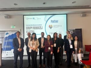 Grupa Robocza Nanonet 2025